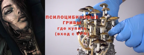 хмурый Абинск