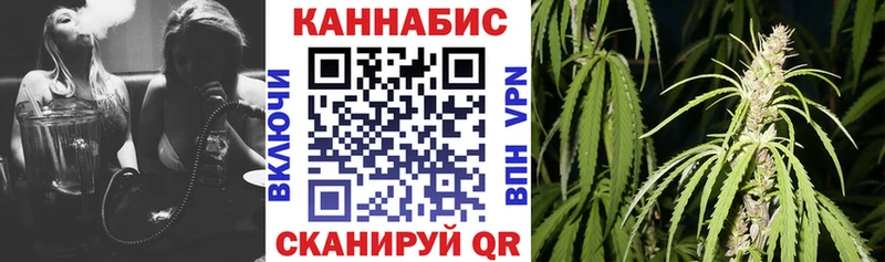 Каннабис Amnesia  Томилино 
